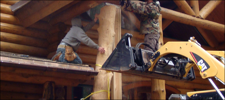 Log Home Log Replacement  Wise County, Virginia