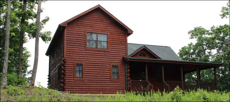 Professional Log Home Borate Application  Wise County, Virginia